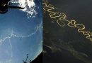 El río Amazonas visto desde el espacio – VIDEO