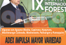 ADEX IMPULSA MAYOR VARIEDAD DE MADERAS CON POTENCIAL EN USA