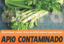 APIO CONTAMINADO CONSUME PUCALLPA