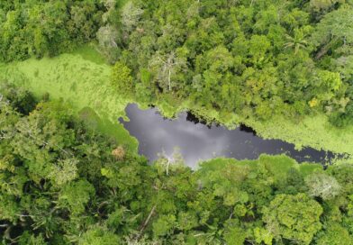 LA FISCALIZACIÓN FORESTAL GARANTIZA LA SEGURIDAD HÍDRICA DEL PERÚ