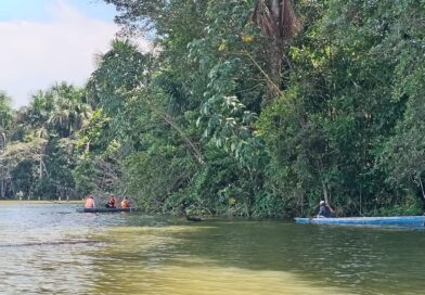 EN QUISTOCOCHA FRENAN PESCA ILEGAL CON BARBASCO