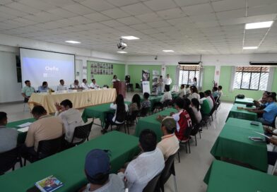 UCAYALI: OEFA REALIZA TALLER DE PROMOCIÓN DE CUMPLIMIENTO AMBIENTAL CON PRODUCTORES DE PALMA ACEITERA