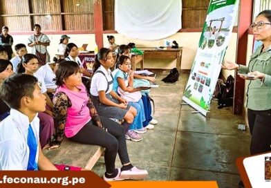 COSECHARÁN YUCA PARA FARIÑA Y HARINA