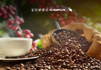 PERÚ LIDERA NÚMERO DE  PRODUCTORES DE CAFÉ QUE  CERTIFICAN COMERCIO JUSTO