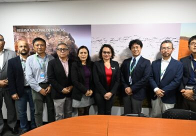 MINAM Y JICA IMPULSAN  GESTIÓN SOSTENIBLE DE  BOSQUES Y HUMEDALES