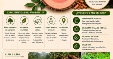 PALO ROSA