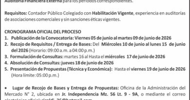 CONVOCATORIA A AUDITORIA