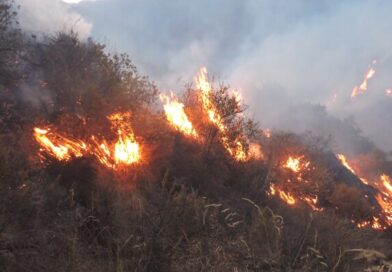 MINAM CAPACITA A REGIONES PARA PREVENIR INCENDIOS FORESTALES