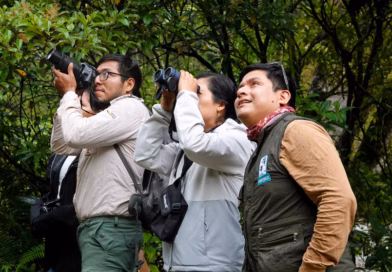 PERÚ ENTRE LOS MEJORES LUGARES DEL MUNDO PARA OBSERVAR AVES