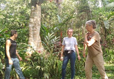 “BIOKUKA”  TE ESPERA EN  EL BOSQUE