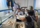 SERFOR, Ministerio Público y DIVIAC: PARTICIPAN EN OPERATIVO CONJUNTO CONTRA TRÁFICO ILEGAL DE FAUNA SILVESTRE