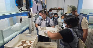 SERFOR, Ministerio Público y DIVIAC: PARTICIPAN EN OPERATIVO CONJUNTO CONTRA TRÁFICO ILEGAL DE FAUNA SILVESTRE