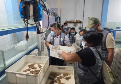 SERFOR, Ministerio Público y DIVIAC: PARTICIPAN EN OPERATIVO CONJUNTO CONTRA TRÁFICO ILEGAL DE FAUNA SILVESTRE