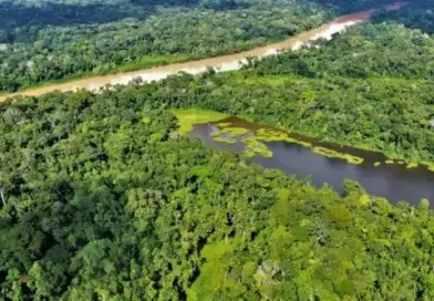 MEF Y LA COOPERACIÓN ALEMANA APOYAN LA CONSERVACIÓN BOSQUES MEF Y LA COOPERACIÓN ALEMANA APOYAN LA CONSERVACIÓN BOSQUES