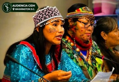 DENUNCIAN IMPACTO DE ECONOMÍAS ILEGALES CONTRA PPII DE UCAYALI