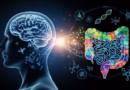 SUSTANCIA DEL INTESTINO PODRÍA ESTAR ASOCIADA AL ALZHEIMER SUSTANCIA DEL INTESTINO PODRÍA ESTAR ASOCIADA AL ALZHEIMER