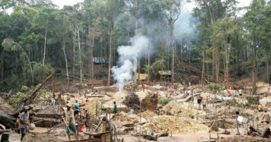 BUSCAN REVERTIR  DEGRADACIÓN FORESTAL  EN LA AMAZONÍA
