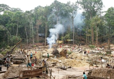 BUSCAN REVERTIR  DEGRADACIÓN FORESTAL  EN LA AMAZONÍA