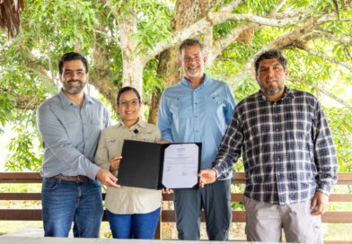 Consolida su liderazgo de producción sostenible en Ucayali PALMICULTORA OCHO SUR OBTIENE TRES CERTIFICACIONES ORGÁNICAS INTERNACIONALES Consolida su liderazgo de producción sostenible en Ucayali PALMICULTORA OCHO SUR OBTIENE TRES CERTIFICACIONES ORGÁNICAS INTERNACIONALES