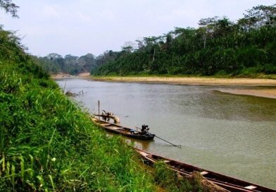 SHIPIBOS COLONIZAN MADRE DE DIOS
