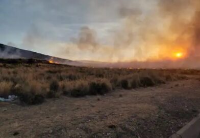 Bomberos sofocan  Incendio forestal en Yarinacocha