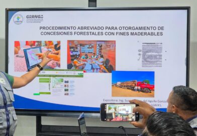 FORTALECEN LA GESTIÓN FORESTAL Y DE FAUNA SILVESTRE FORTALECEN LA GESTIÓN FORESTAL Y DE FAUNA SILVESTRE