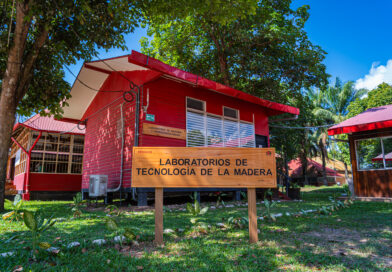INACAL ACREDITA AL CITEFORESTAL PUCALLPA INACAL ACREDITA AL CITEFORESTAL PUCALLPA