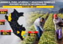 LA INFORMALIDAD LABORAL ROZA 90% EN AMAZONAS LA INFORMALIDAD LABORAL ROZA 90% EN AMAZONAS