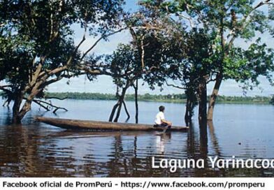PROPONEN RECUPERAR LAGUNA YARINACOCHA