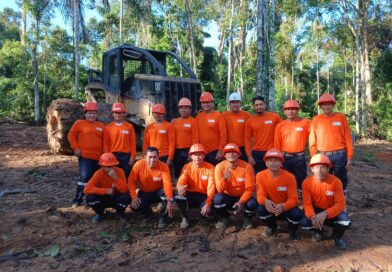 LEGALIDAD ES CLAVE  DE ÉXITO EN LA CADENA  PRODUCTIVA FORESTAL